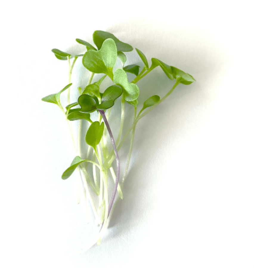 Default alternative text describing the image.